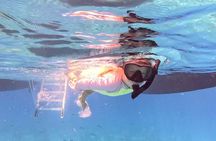 Reef Snorkel + Sandbar & Sunset Sail-Small Groups with Honest Eco