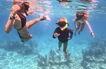 Reef Snorkel + Sandbar & Sunset Sail-Small Groups with Honest Eco
