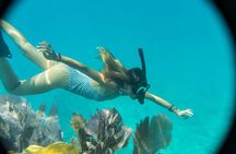 Private Charter 6 Passenger Sandbar, Snorkel, Dolphins