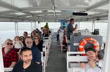 Baywatch Dolphin Tours – Pier 21 Galveston