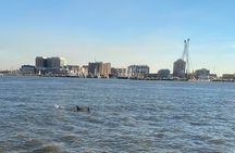 Baywatch Dolphin Tours – Pier 21 Galveston