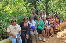 Zanzibar Spice Tour and Lunch Experience