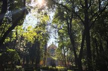EXCLUSIVE TOUR of the Old Quarter of Coyoacan - small groups