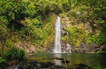  UTV 4wd Cassowary Falls and Daintree Rainforest Adventure tour 