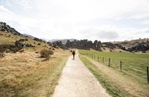 Franz Josef to Christchurch 1-Way Small Group Tour via Hokitika 