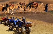 Marrakech: 2-Hour Quad Bike & Camel Ride in Palmeraie