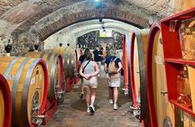 Pisa, Vinci, Tuscany, Wine tasting all in one day! - Small Group