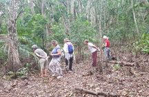 Jozani forest, Spice Farm, Stone town and Prison Island