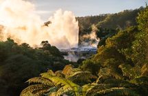  Auckland: Rotorua Te Puia with Haka & Polynesian Spa Small Group