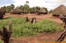 7 Days Uganda Big 5 Safari