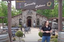 Private Luxury Wine Tour from Atlanta to North Georgia Vineyards