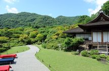 Arashiyama Bamboo & "Must See" Gardens with an Amazing Guide
