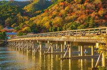 Arashiyama Bamboo & "Must See" Gardens with an Amazing Guide