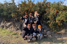 Jeju Unesco Eest course Package Private Van Guided Tour