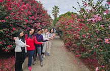 Jeju Unesco Eest course Package Private Van Guided Tour