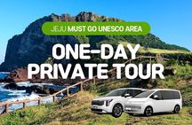 Jeju Customize Private VAN Tour of East or West or South (~8pax)