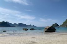 4 Hours Private Exclusive Car Sightseeing in Lofoten (group 1-6)