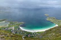 4 Hours Private Exclusive Car Sightseeing in Lofoten (group 1-6)