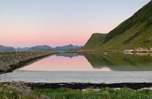 4 Hours Private Exclusive Car Sightseeing in Lofoten (group 1-6)