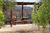 “ARISMARI” – Vineyard Tour & Wine Tasting