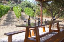 “ARISMARI” – Vineyard Tour & Wine Tasting