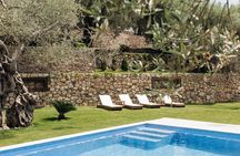 Private Olive Oil and Wine Tasting in Kurilo, Montenegro