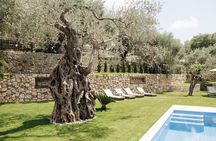 Private Olive Oil and Wine Tasting in Kurilo, Montenegro