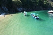 Whale watching with Snorkeling and beach Colomitos