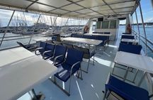 Dolphin Watching Sunset Cruise with Dinner 