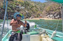 Whale watching with Snorkeling and beach Colomitos