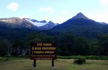 Trekking Vinciguerra Glacier and Laguna de los Témpanos