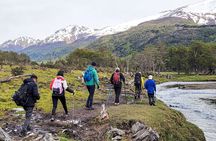 Trekking Vinciguerra Glacier and Laguna de los Témpanos