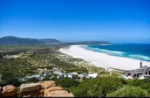  Private Cape Peninsula Table Mountain Penguin Colony Boulders 