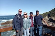  Private Cape Peninsula Table Mountain Penguin Colony Boulders 