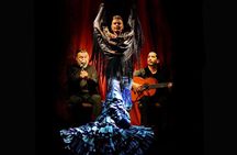 Flamenco Casa Sors & Guitar Museum with Optional Drink or Dinner