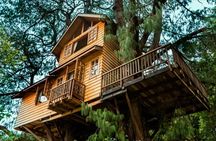 8 Hour Private Tour of Campos Do Jordão