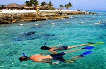 Museum for Coral Preservation with Chankanaab Park and OTOCH