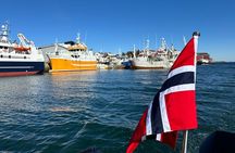3 Hours Private Exclusive Boat Sightseeing in Leknes (group 1-4)