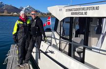 3 Hours Private Exclusive Boat Sightseeing in Leknes (group 1-4)