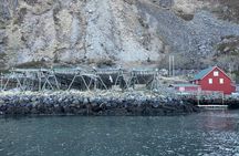 3 Hours Private Exclusive Boat Sightseeing in Leknes (group 1-4)