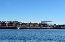 3 Hours Private Exclusive Boat Sightseeing in Leknes (group 1-4)