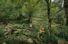 Hiking in Batumi ( Mtirala National Park)
