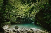 Hiking in Batumi ( AJARA AREA)
