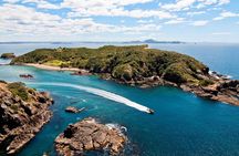 Ocean Adventure: Fast Boat to the Hole in the Rock