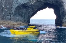 Ocean Adventure: Fast Boat to the Hole in the Rock