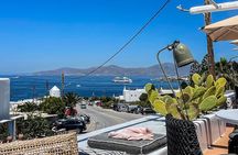 2 Hours Private Tour Mykonos Highlights with a Local