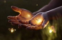 VIllage Firefly Night Tour - Ubud Bali