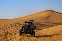 Doha Delights City Tour with Desert Safari and Inland Sea Visit
