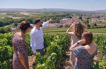 Champagne Small-Group Tour with Tastings and Lunch from Epernay