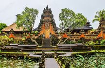 Ubud: Monkey Forest, Waterfall and Nature Exploration Tour